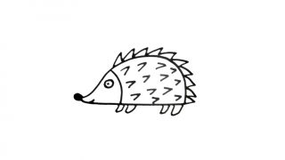 How to draw a Hedgehog for kids