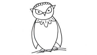 How to draw an Owl for kids
