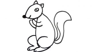 How to draw a squirrel for kids