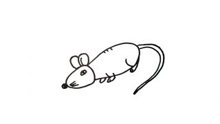How to draw a Mouse for kids