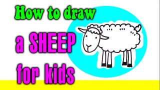 How to draw a SHEEP for kids
