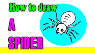 How to draw a Spider for kids