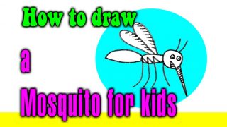 How to draw a Mosquito for kids