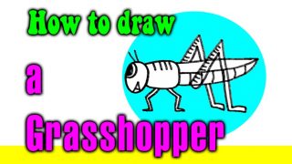 How to draw a Grasshopper for kids