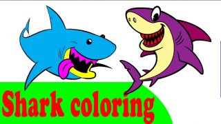SHARK coloring