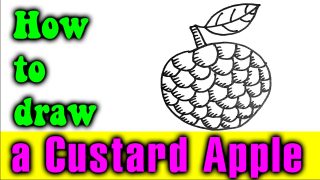How to draw a Custard Apple easy for kid