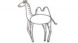 How to draw a Camel for kids