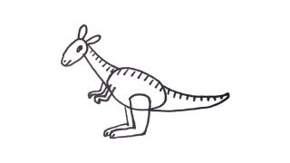 How to draw a Kangaroo for kids