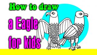 How to draw a Eagle for kids