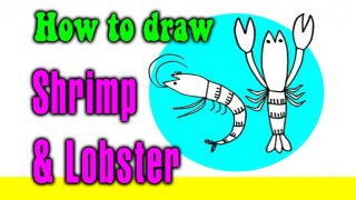 How to draw Shrimp & Lobster for kids