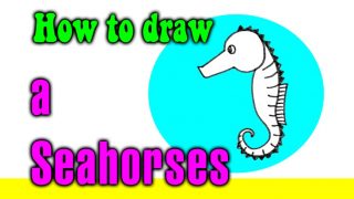 How to draw a Seahorses for kids