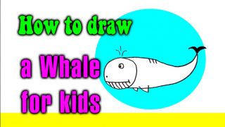 How to draw a Whale for kids