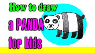 How to draw a Panda for kids