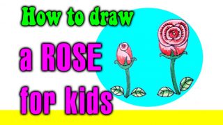 How to draw a Rose for kids