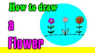 How to draw a Flower for kids