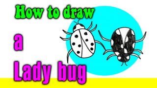 How to draw a Lady bug for kids