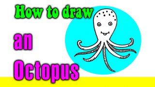 How to draw an Octopus for kids