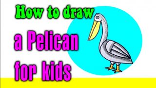 How to draw a Pelican for kids