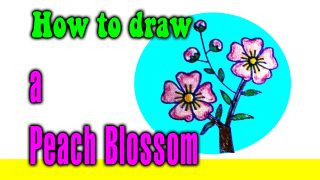 How to draw a Peach Blossom for kids