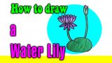 How to draw a Water lily for kids