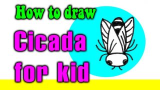 How to draw a Cicada for kid