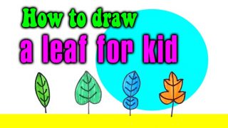 How to draw a leaf for kid