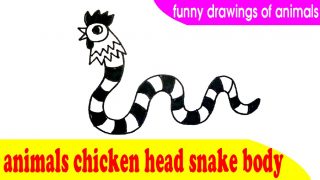 Animals chicken head snake body – Funny drawings of animals