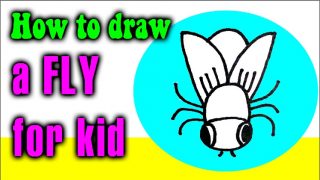 How to draw a FLY for kid
