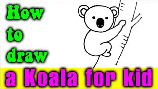 How to draw a KOALA for kid