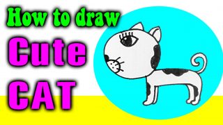 How to draw a Cute CAT EASY