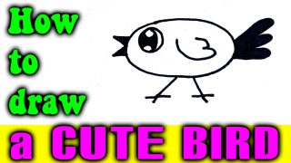 How to draw a CUTE BIRD for kid