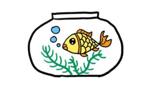 How to Draw a Goldfish in a Tank easy, vẽ bể cá vàng đơn giản